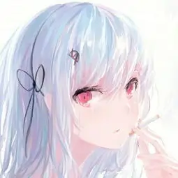 特片网用户头像
